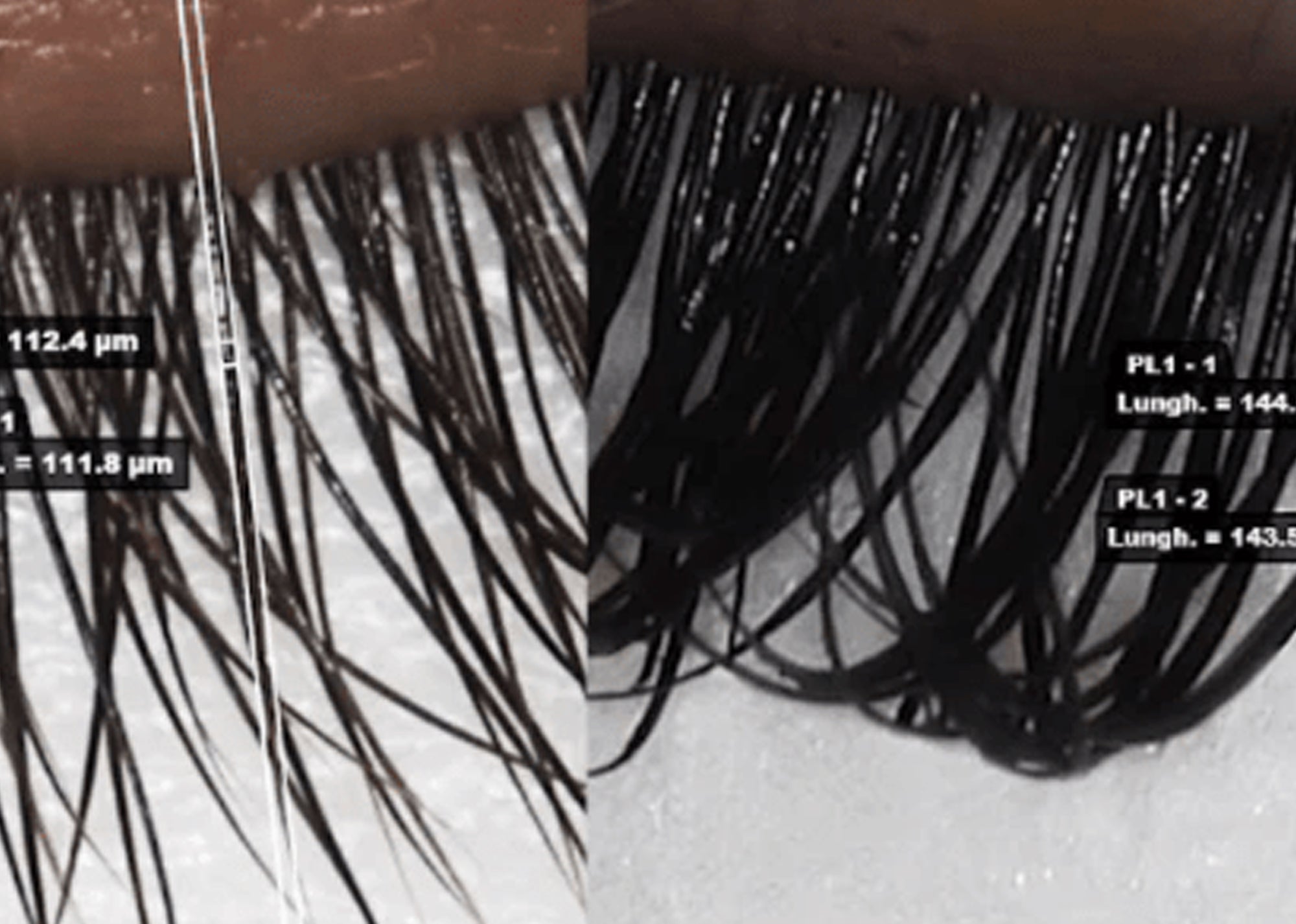 Eyelash Lamination Questions Answered: Lash Lift, Lash Filler and more! - InLei®
