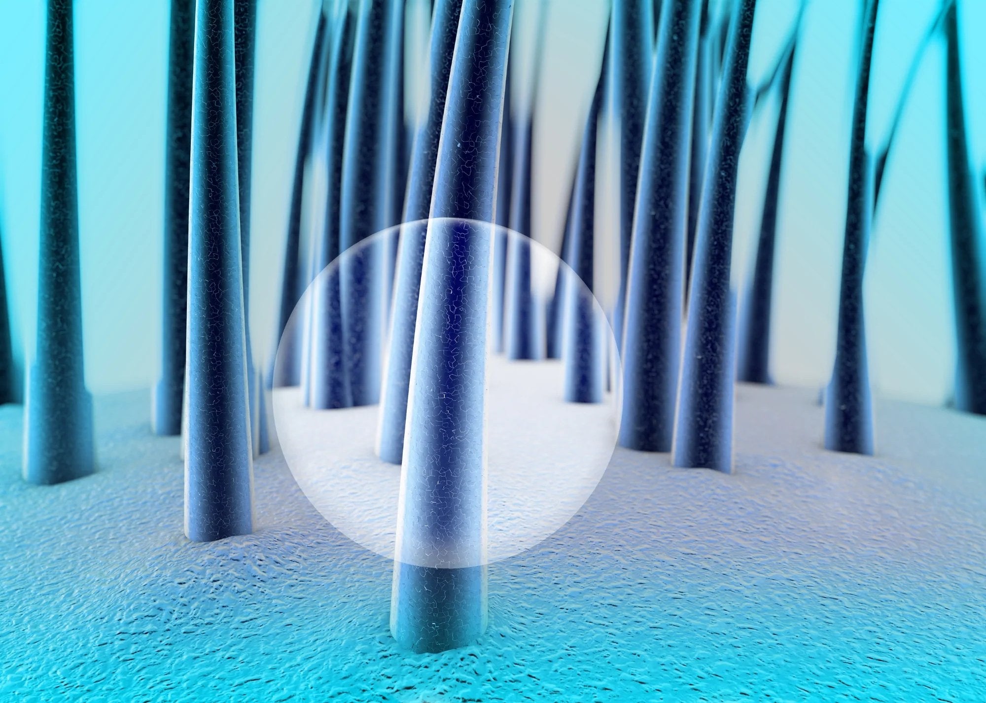 InLei® Lash Filler - How to Time the Chemical Reaction for Optimal Results - InLei®